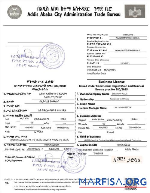 Downloadable Ethiopia Addis Ababa business license Word and PDF template